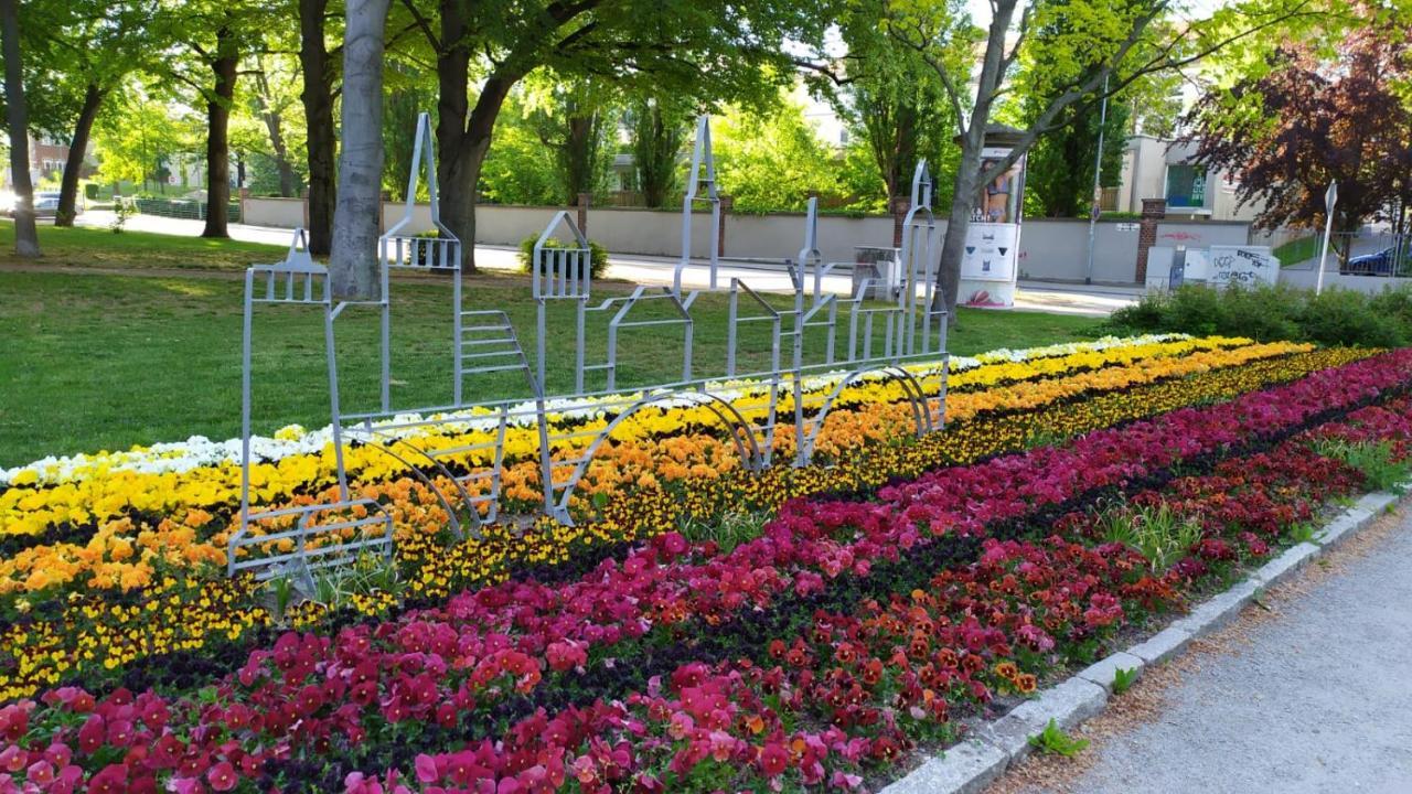 Alte Baeckerei Bautzen - 02 #Senior# Im Zentrum, Mit Parkplatz, Top Ausgestattet 外观 照片
